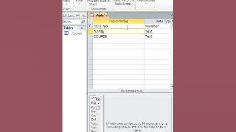 primary key in access|access for beginners in Hindi| data base management system| DBMS