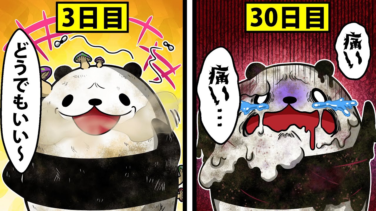 【アニメ】1ヶ月お風呂に入らないとどうなるのか？