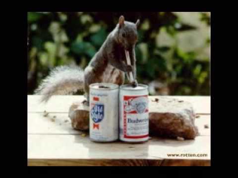 Pat McCurdy - Sex and Beer.wmv