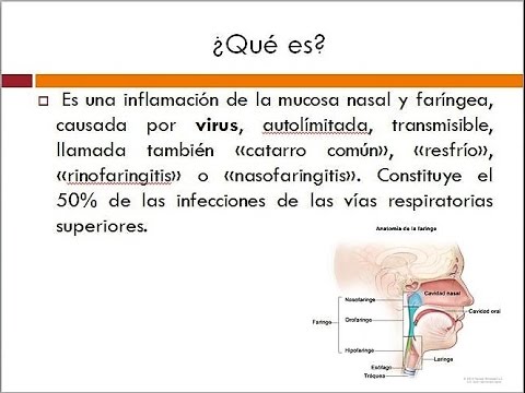 Resfriado común (Agentes infecciosos, cuadro clínico y Tratamiento) Infectologia