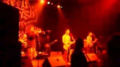 Reel Big Fish - Good Thing/Your Guts (I Hate 