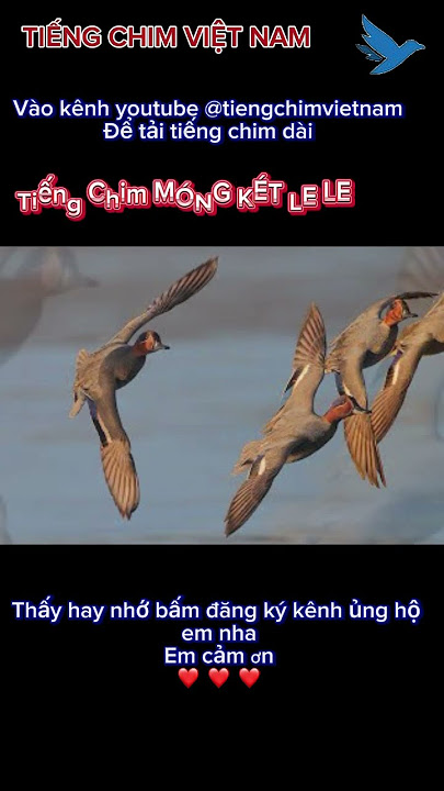 Tiếng móng két le le mới