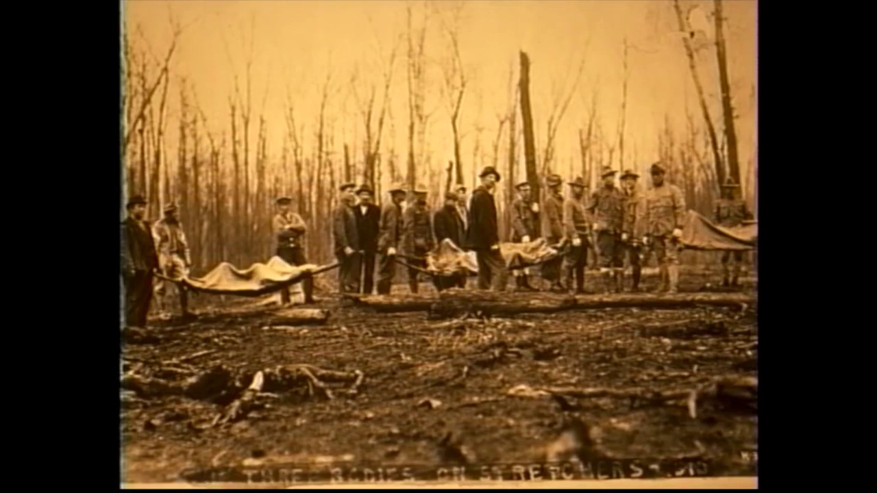 Minnesota White Pine Story