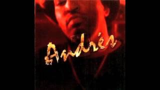 ANDRES - ANDRES - LP (MAHOGANI MUSIC) - 中古・輸入レコード