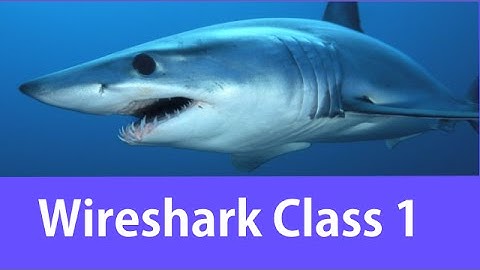 Wireshark Certified Network Analyst Class #1