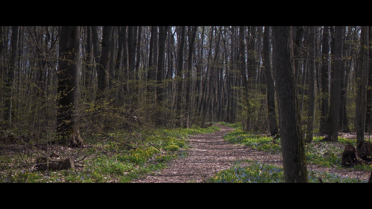 Without spring. С Риз о весне без конца и без краёв.