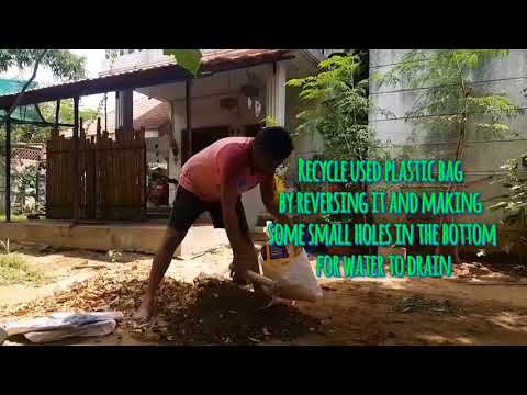 bG's kitchen Garden