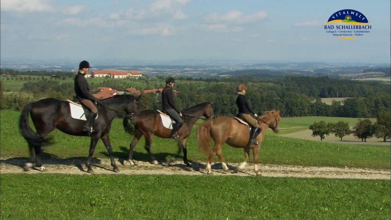 Ein Streifzug durch Gallspach 2016