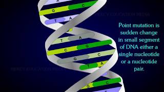 Point Or Gene Mutation