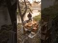 Solo Woodworking by the River | Satisfying Transformation🌲🌊 #shorts