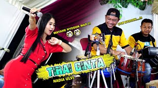 Wayahe Nyogok Mad !!! Tirai Cinta ( Koplo Version ) // Nadia Ulvi // New PHI Musik Kekinian