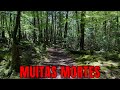 FUI NA FLORESTA DO SUIC1DIO - AOKIGAHARA 🇯🇵