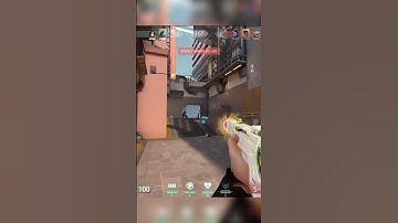 [valorant clip] 2. visual bug