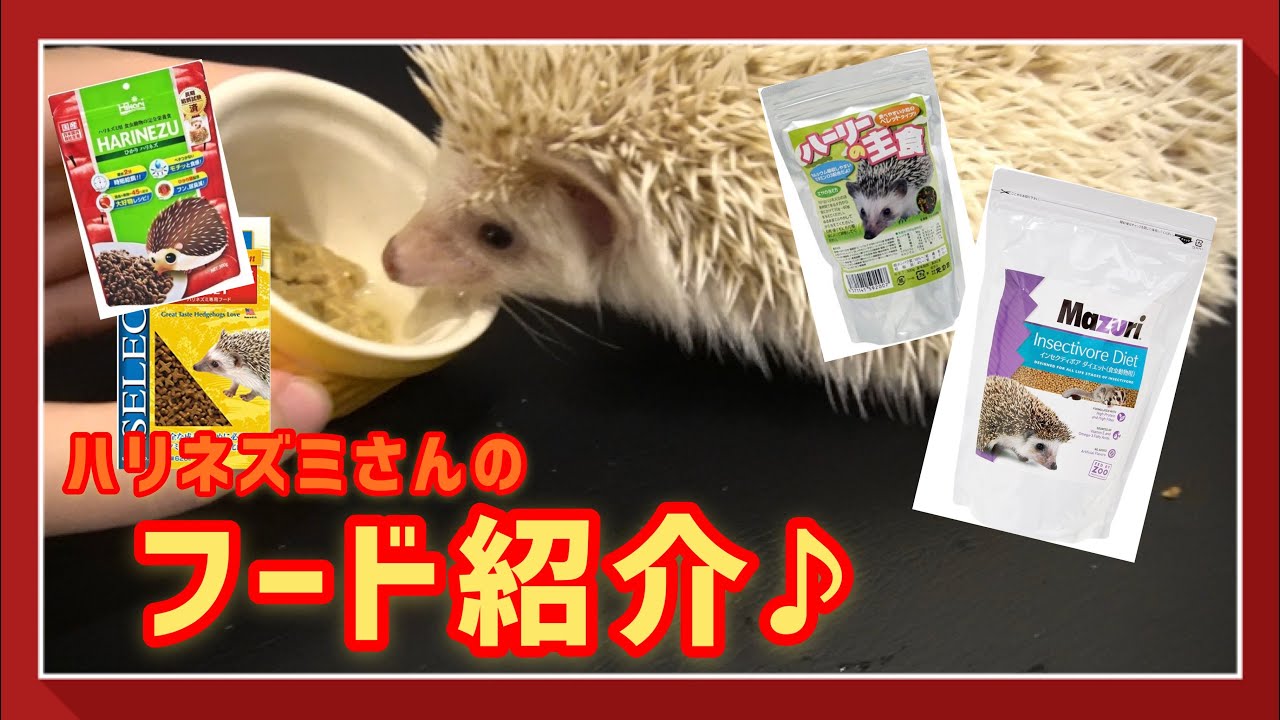 HEDGEHOG DIET ハリネズミ専用フード 【公式通販】