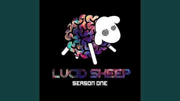 Process of the Matrix