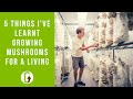 5 Things I Wish I Knew Before I Started Growing Mushrooms For A Living | GroCycle