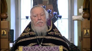 Протоиерей Димитрий Смирнов. Проповедь о лукавстве, равнодушии и духовной слепоте Протоиерей Димитрий Смирнов. Проповедь о лукавстве, равнодушии и духовной слепоте