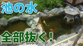 池の水を抜いて大掃除！【2019年春】