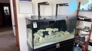 My 90-Gallon Saltwater Reef Build - Episode 2 - The Cycle has Started