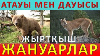 Жыртқыш жануарлар дауысы суреті Жабайы жануарлар