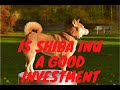 Is Shiba Inu a Good Investment