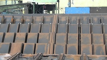 video step feeder 013