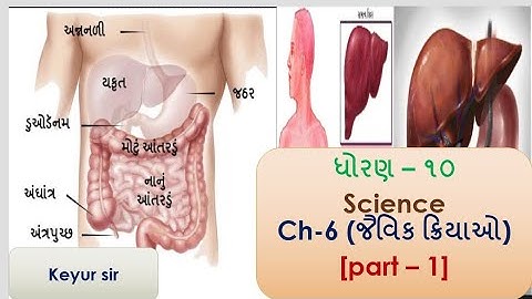 જૈવિક ક્રિયાઓ (part-1) ll std-10 II science ll Ch-6 II life processes