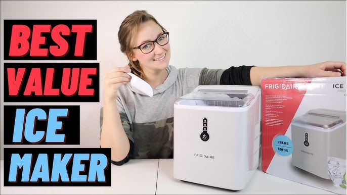 Portable Ice Maker review, Insignia brand. A Christmas gift from my sister.  