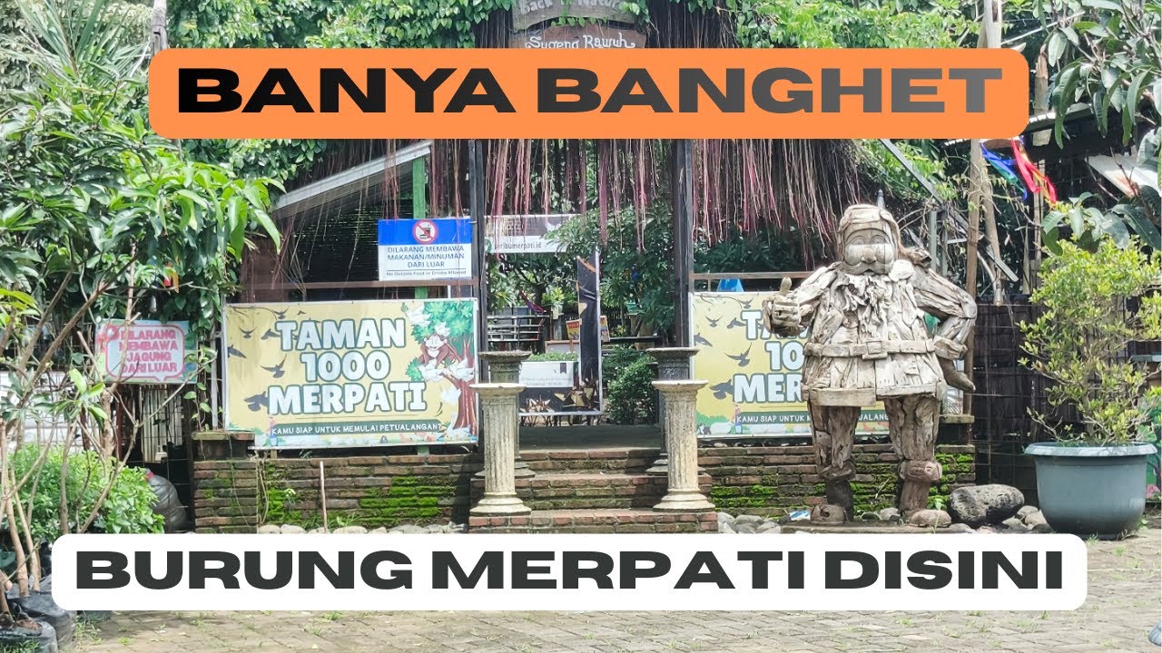 Taman 1000 Merpati, banya bangettt merpatinyaaaaaa