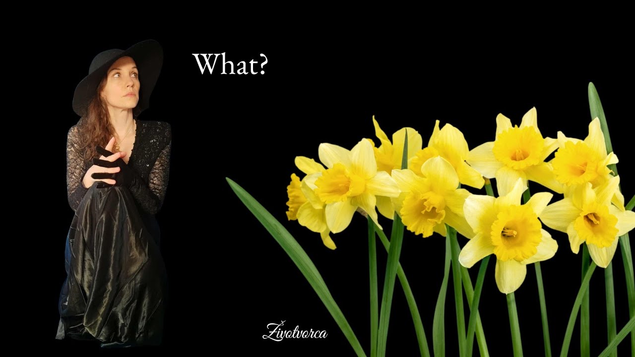 Tvoje malé prsia sú súčasťou narcisovej choroby