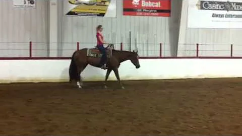 Avalon Susie Q bridleless