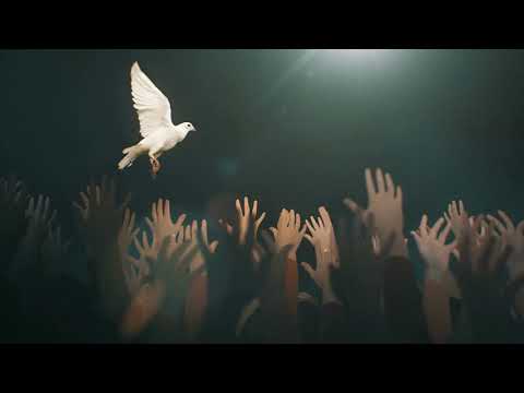 Dove background 1