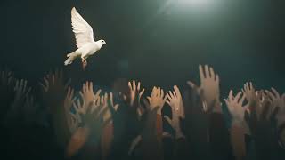 Dove background 1