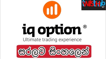 🇱🇰 E Money | IQ Option | Online Cash Sinhala - Twist Hub
