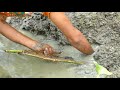 Primitive Technology Hand Fish Catching। Catfish Catch by Hand in Water Mud