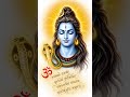 Om Tryambakam Yajaamahe Sugandhin 🔱 Mahamrityunjaya Mantra | Shiv Healing Mantra Reel