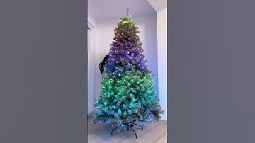 RGB Christmas Tree 1000 FPS