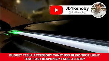 Budget Tesla Accessory Wins? BSD Blind Spot Light Test: Fast Response? False Alerts?