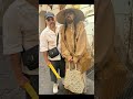 От дачи до подиума_ grandmacore-лук от Микеле, который перевернет ваше представление о моде #fashion