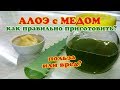 Лечение Алоэ с Медом. Как правильно приготовить и как принимать.