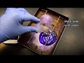 The Gram Stain Procedure