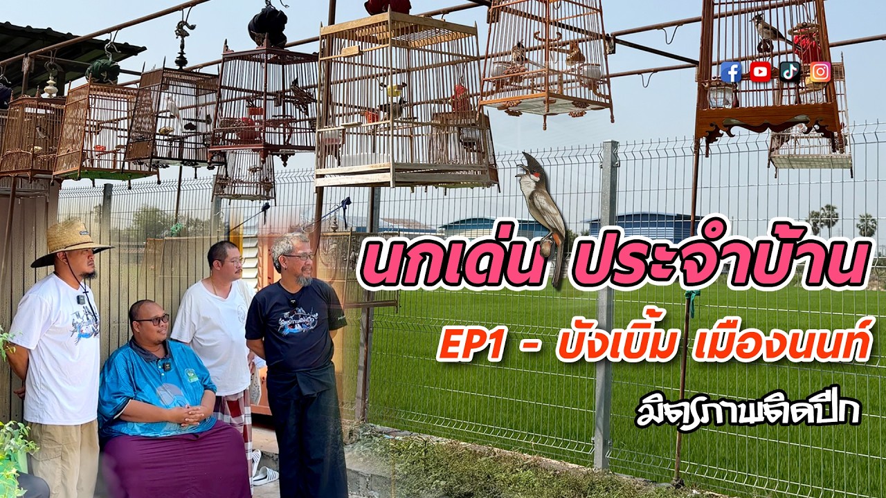 นกเด่นประจำบ้าน 