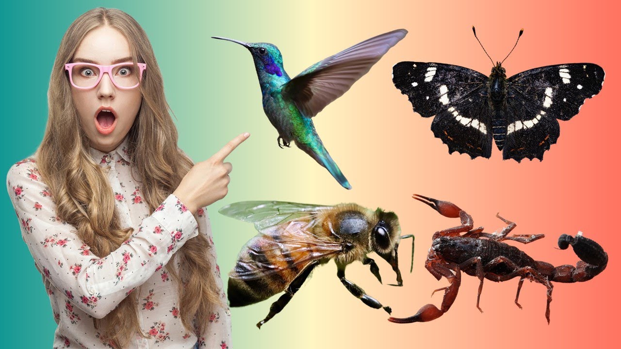 ¿Por qué Aparecen Plagas en tu Hogar? Significados que No Conocías