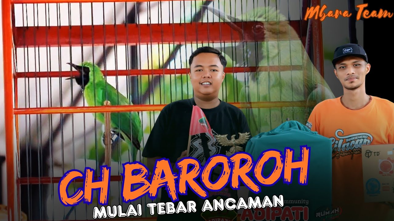 CUCAK HIJAU BAROROH MULAI TEBAR ANCAMAN 