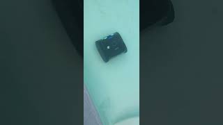 not moving wybot