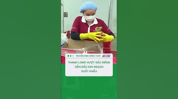 Thanh long vượt sầu riêng, dẫn đầu kim ngạch xuất khẩu #nongnghiepmientay