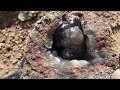 Rockhounding Central Oregon: Lucky Strike Thundereggs