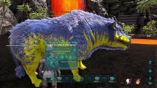 Ark 🐲 Survival Evolved Forever ♾️ Fibercraft EP-5 Season 1