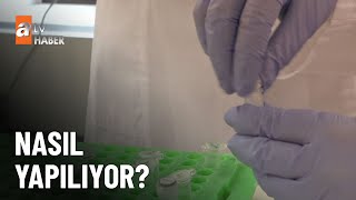 Download Lagu Adli tıp hakkında merak edilenler... - atv Ana Haber 27 Aralık 2025 MP3