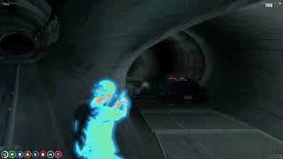 Cactus Vs Kolluk Kuvvetleri